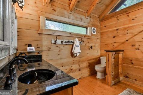 92 Fish Trap Road Mineral Bluff GA 30559