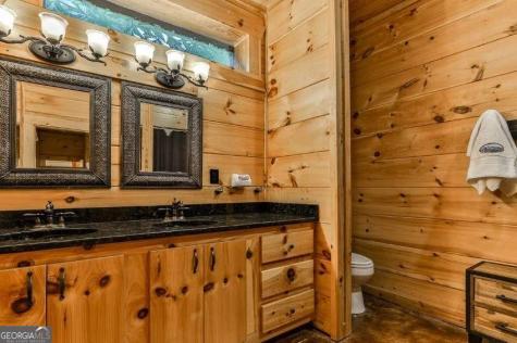 92 Fish Trap Road Mineral Bluff GA 30559