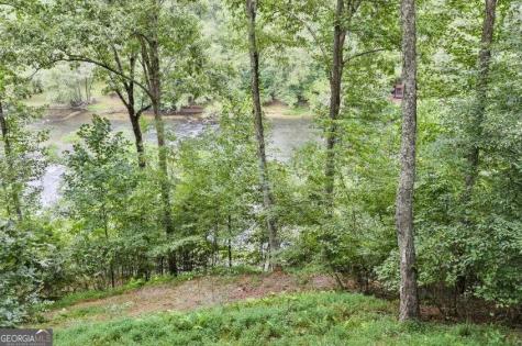92 Fish Trap Road Mineral Bluff GA 30559