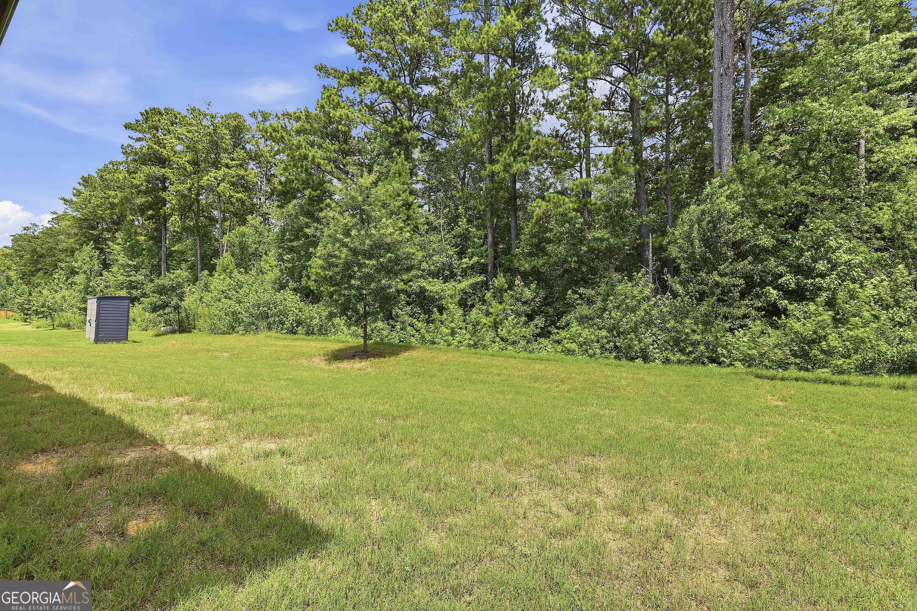 357 Caledonia Court Peachtree City GA 30269