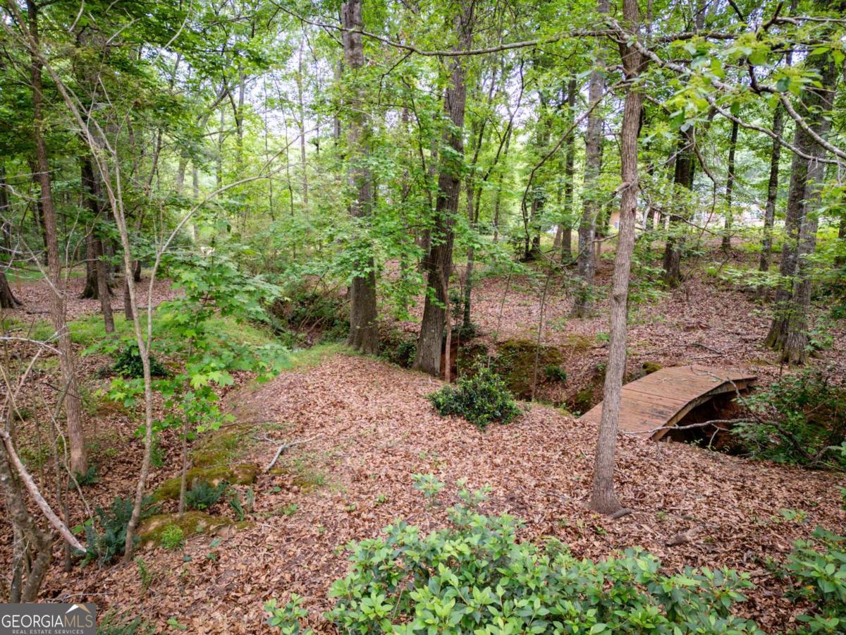 1060 Victoria Crossing Watkinsville GA 30677