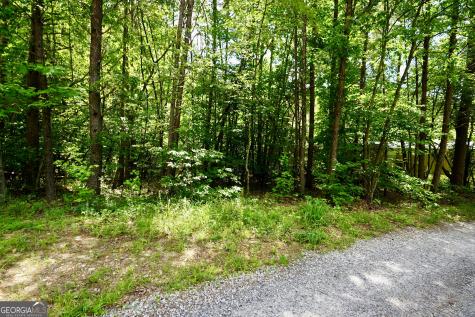238 & 248 Cain Bridge Heights Dahlonega GA 30533