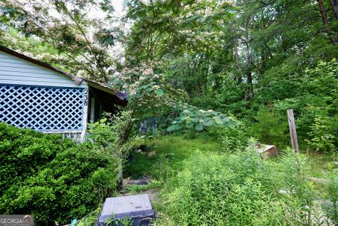 238 & 248 Cain Bridge Heights Dahlonega GA 30533