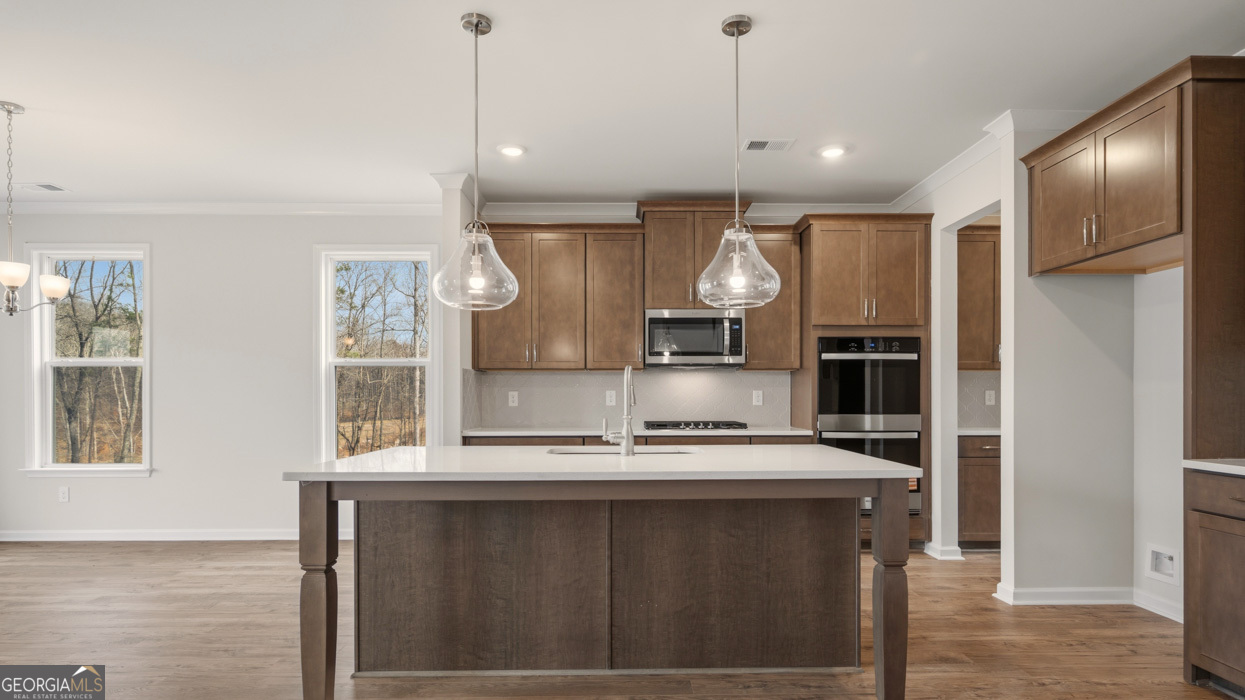 1779 Goodwin Drive Hampton GA 30228