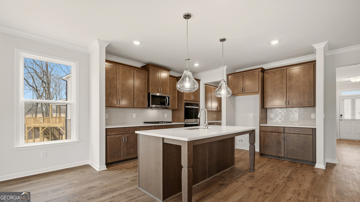 1779 Goodwin Drive Hampton GA 30228