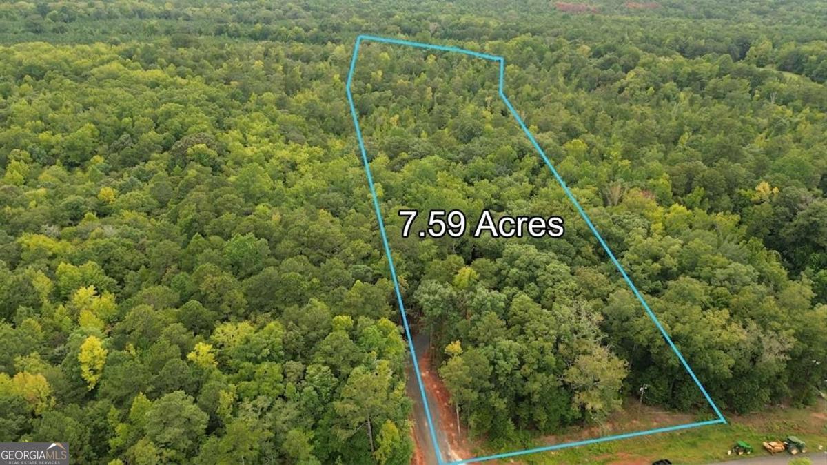 0 Roosevelt Highway Warm Springs GA 31830