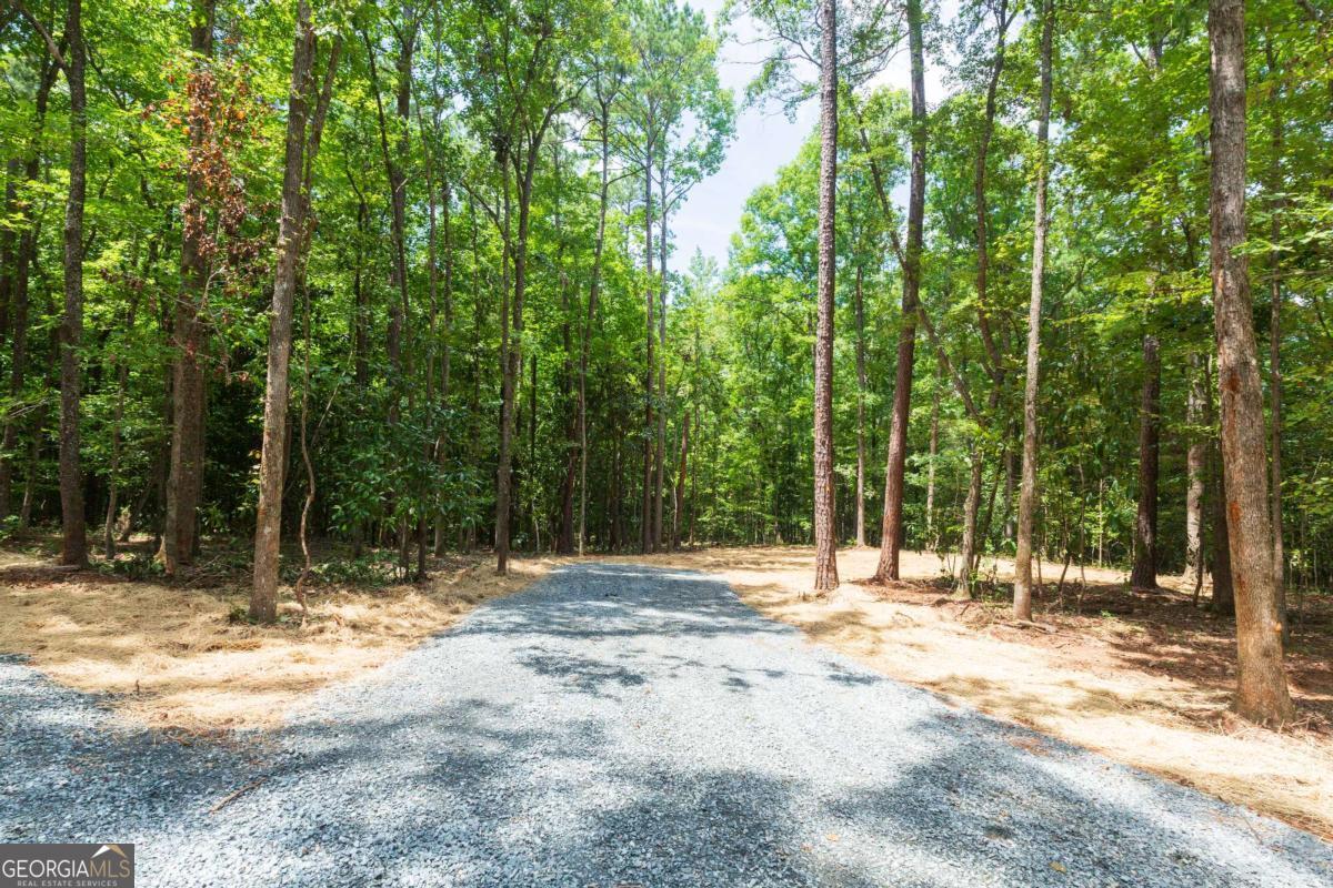 0 Roosevelt Highway Warm Springs GA 31830