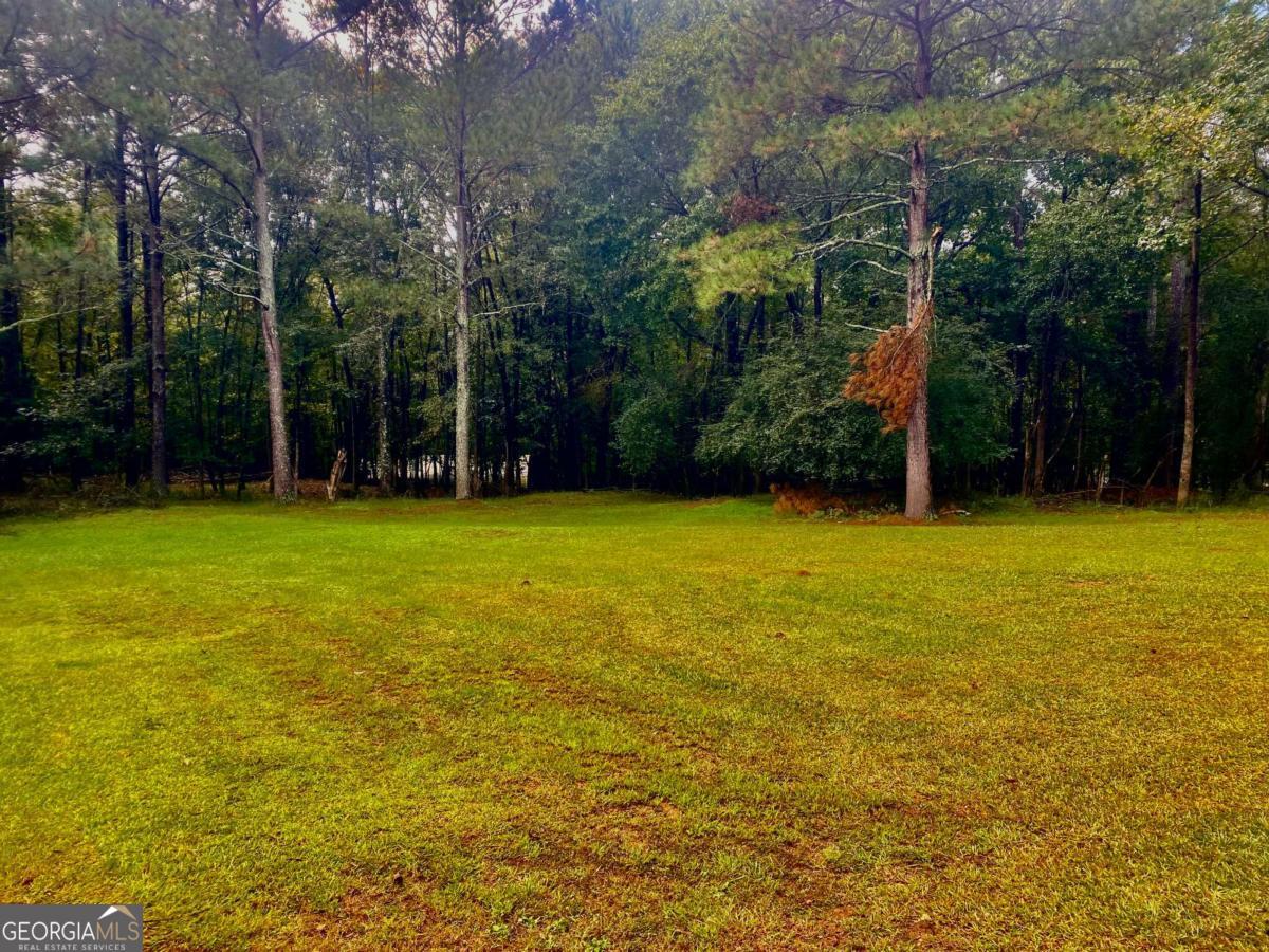 290 Poplar Creek Road Stephens GA 30667