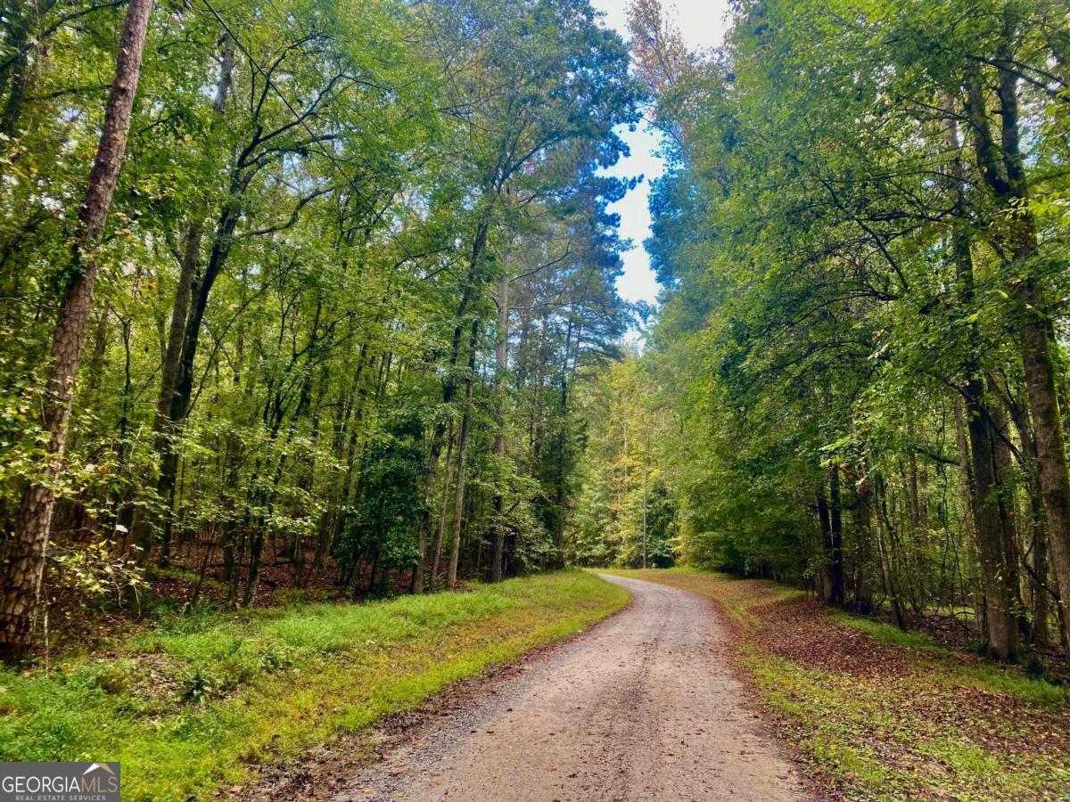 290 Poplar Creek Road Stephens GA 30667