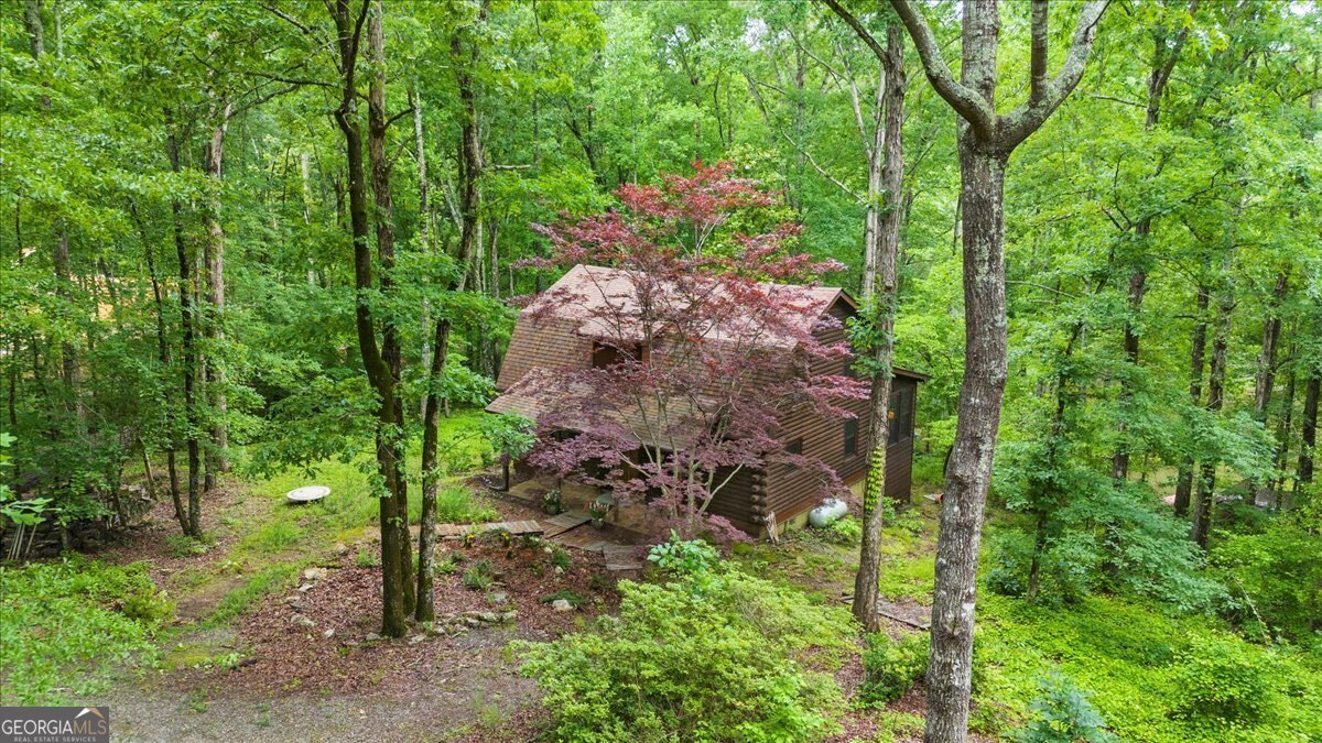 15 Bailey Street Whitesburg GA 30185