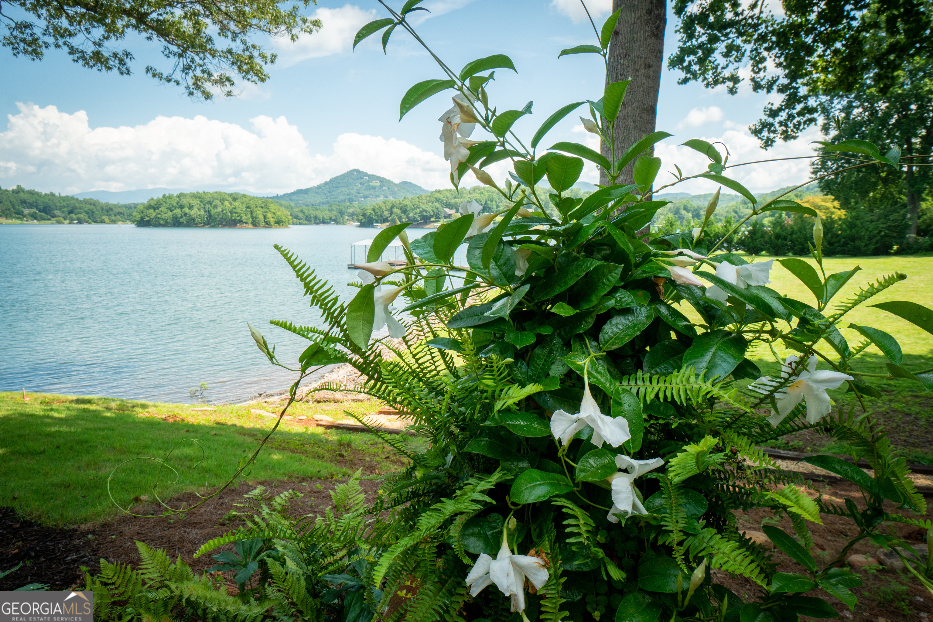 313 Omega Way Hiawassee GA 30546