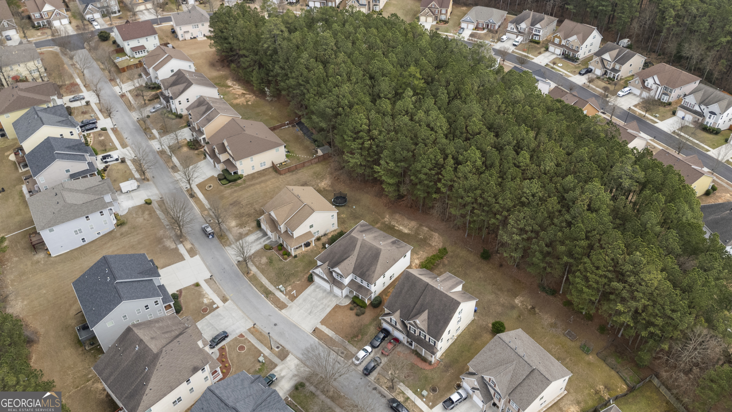 1878 Mountain Park Run Loganville GA 30052