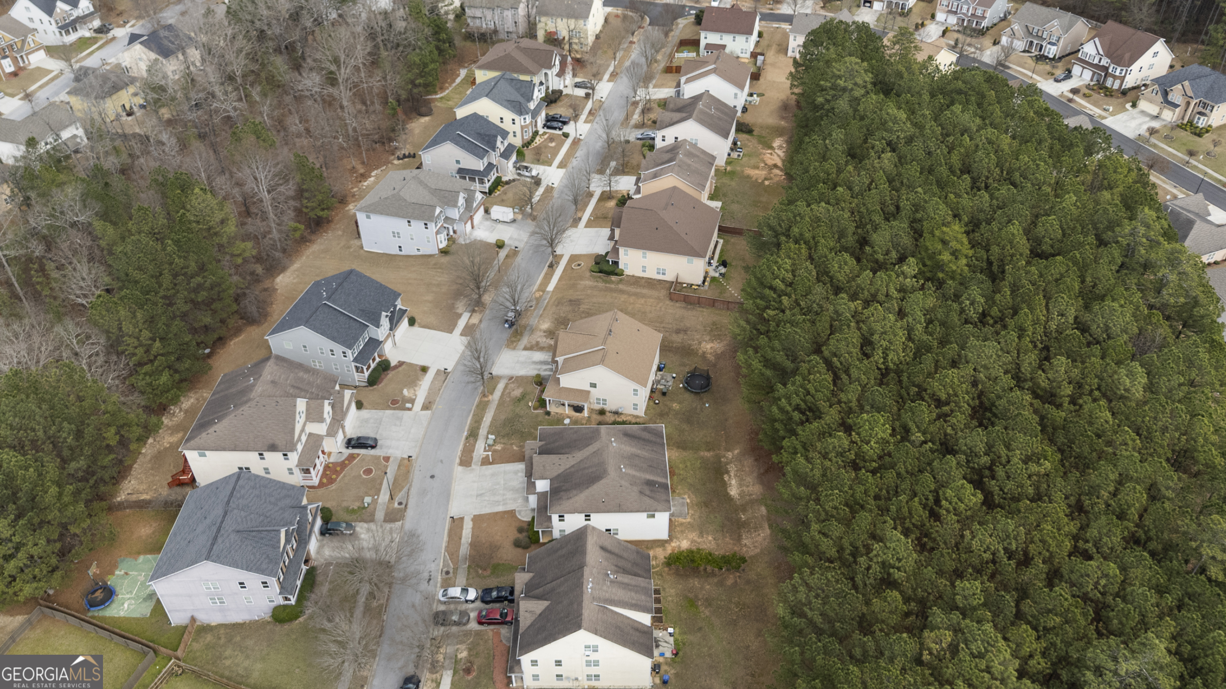 1878 Mountain Park Run Loganville GA 30052