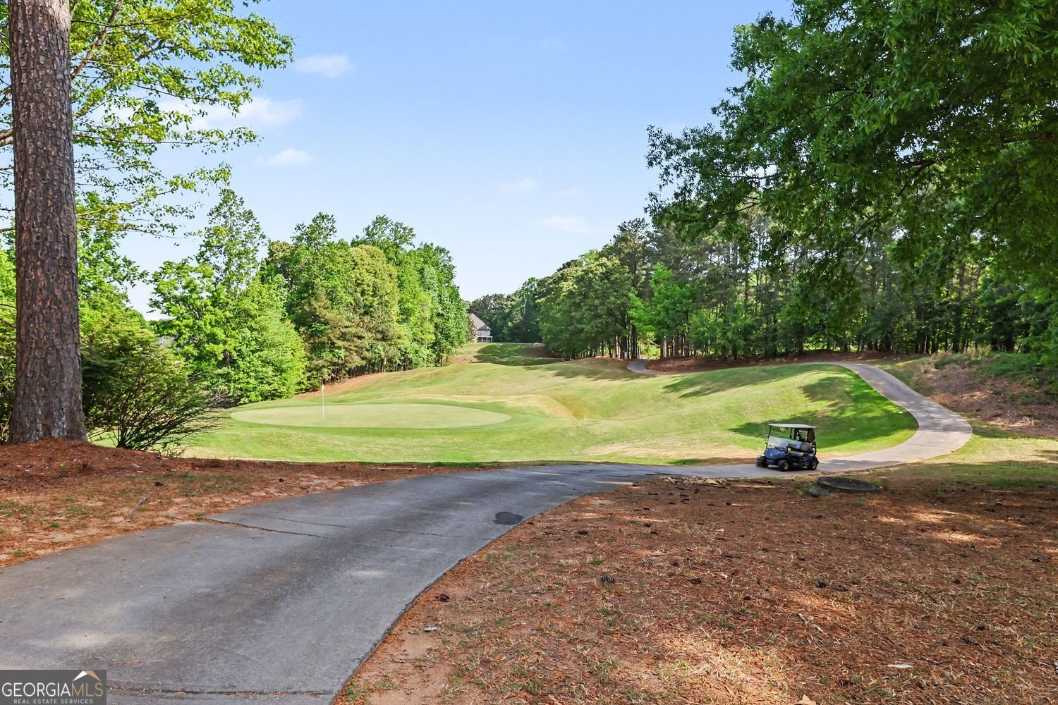 219 Morning Mist Way Woodstock GA 30189