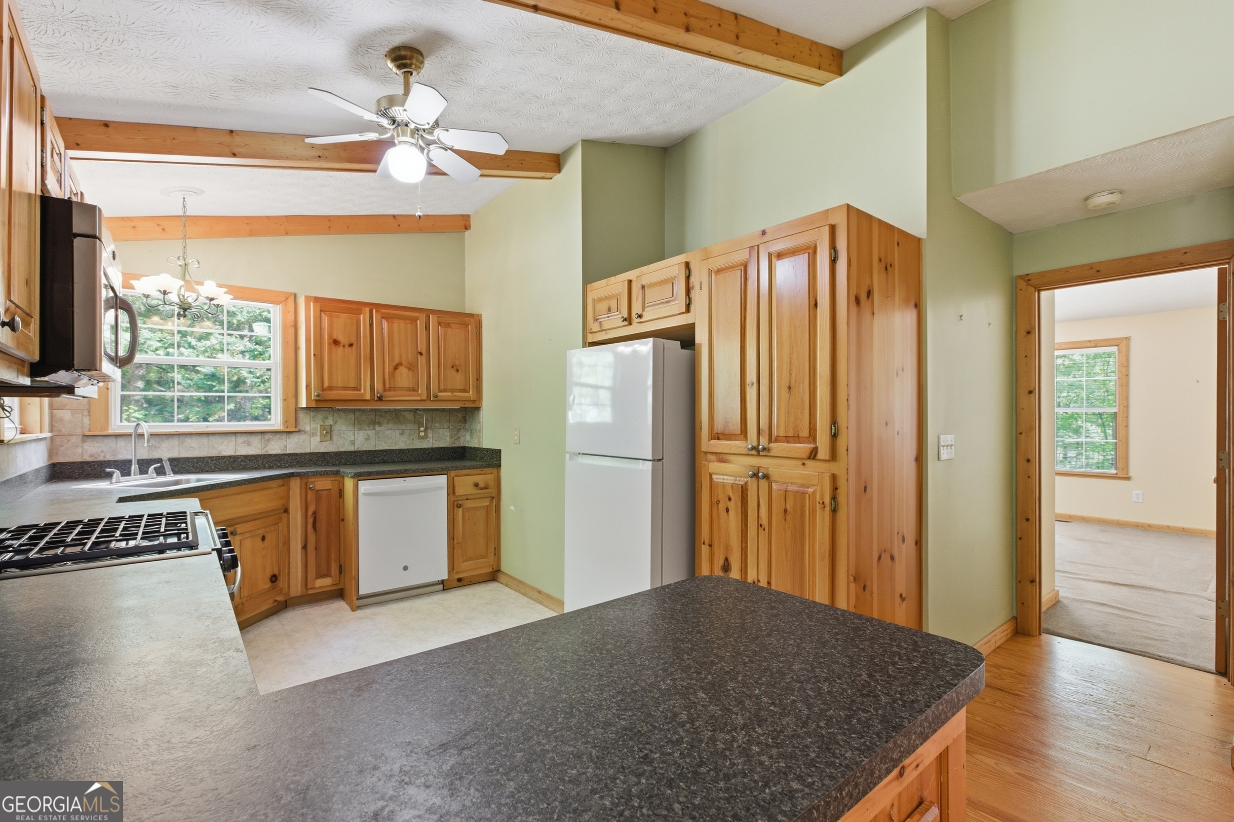47 Terrys Place Cleveland GA 30528