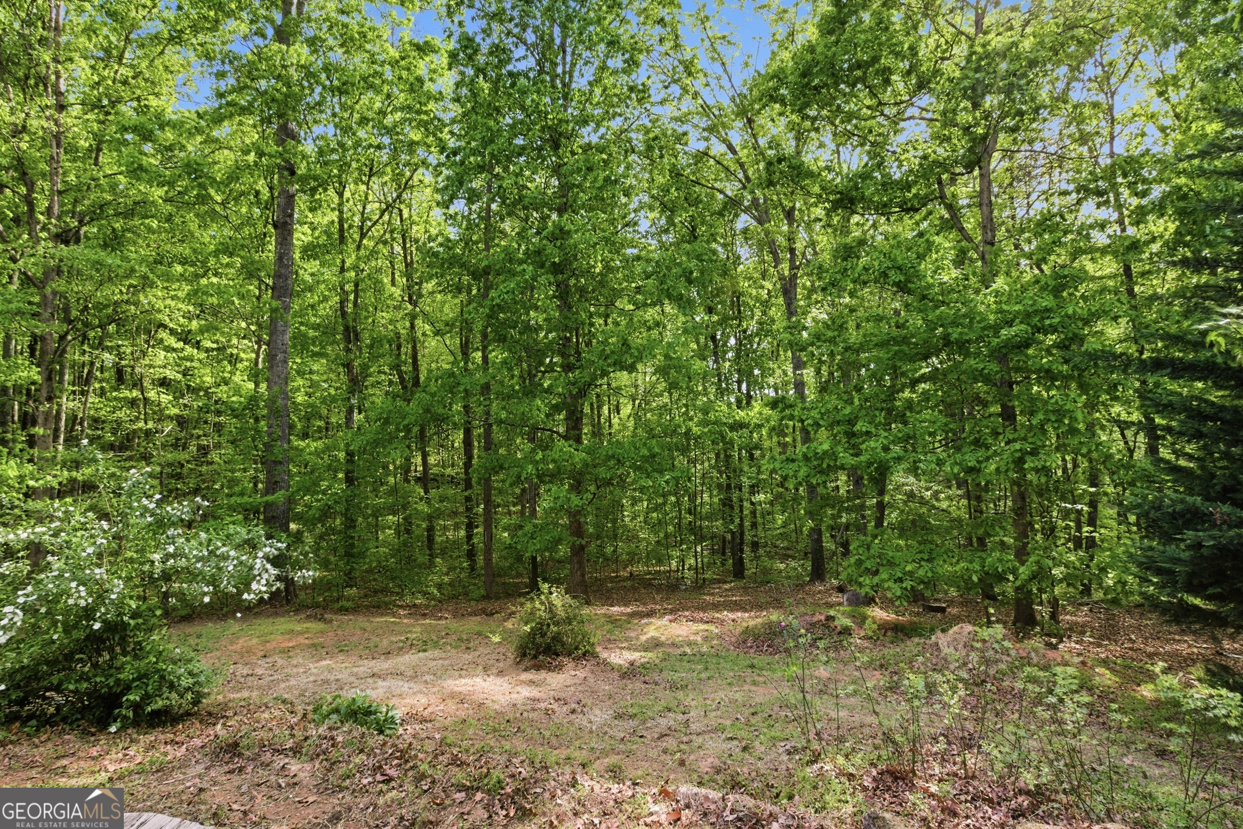 47 Terrys Place Cleveland GA 30528
