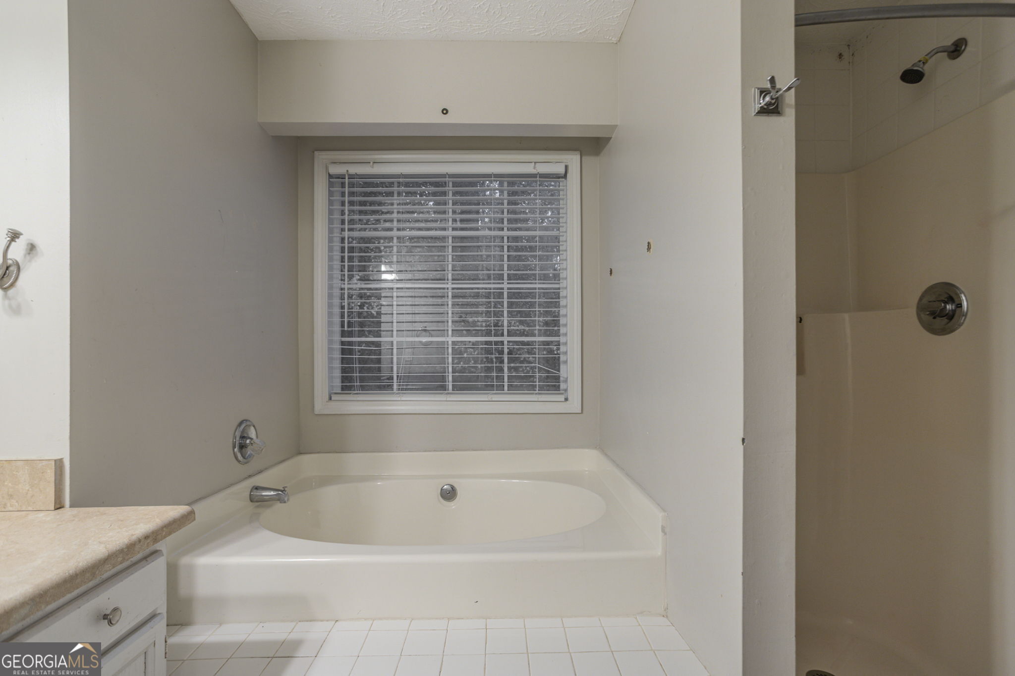 1236 Cabots Drive Auburn GA 30011