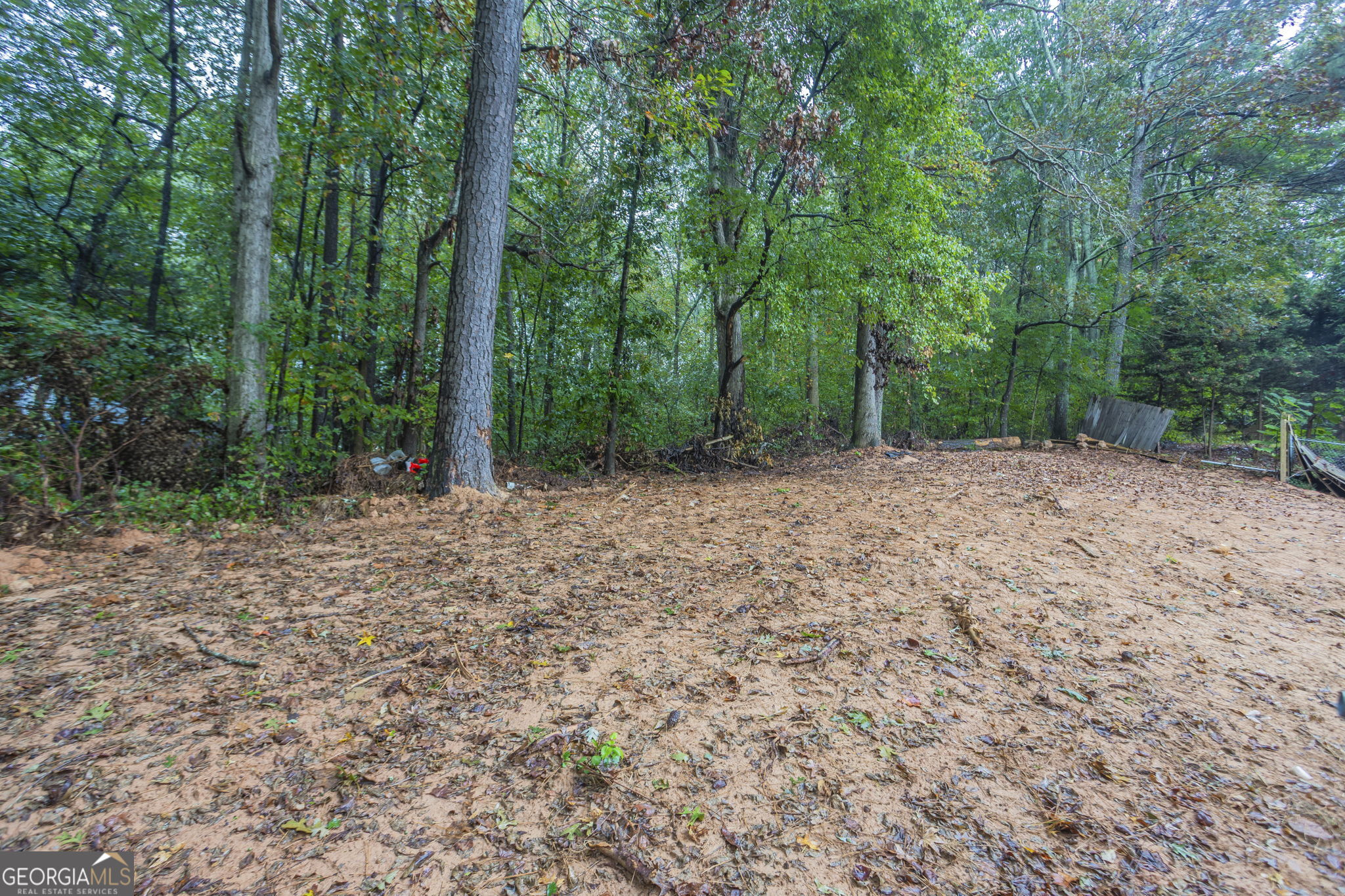 1236 Cabots Drive Auburn GA 30011