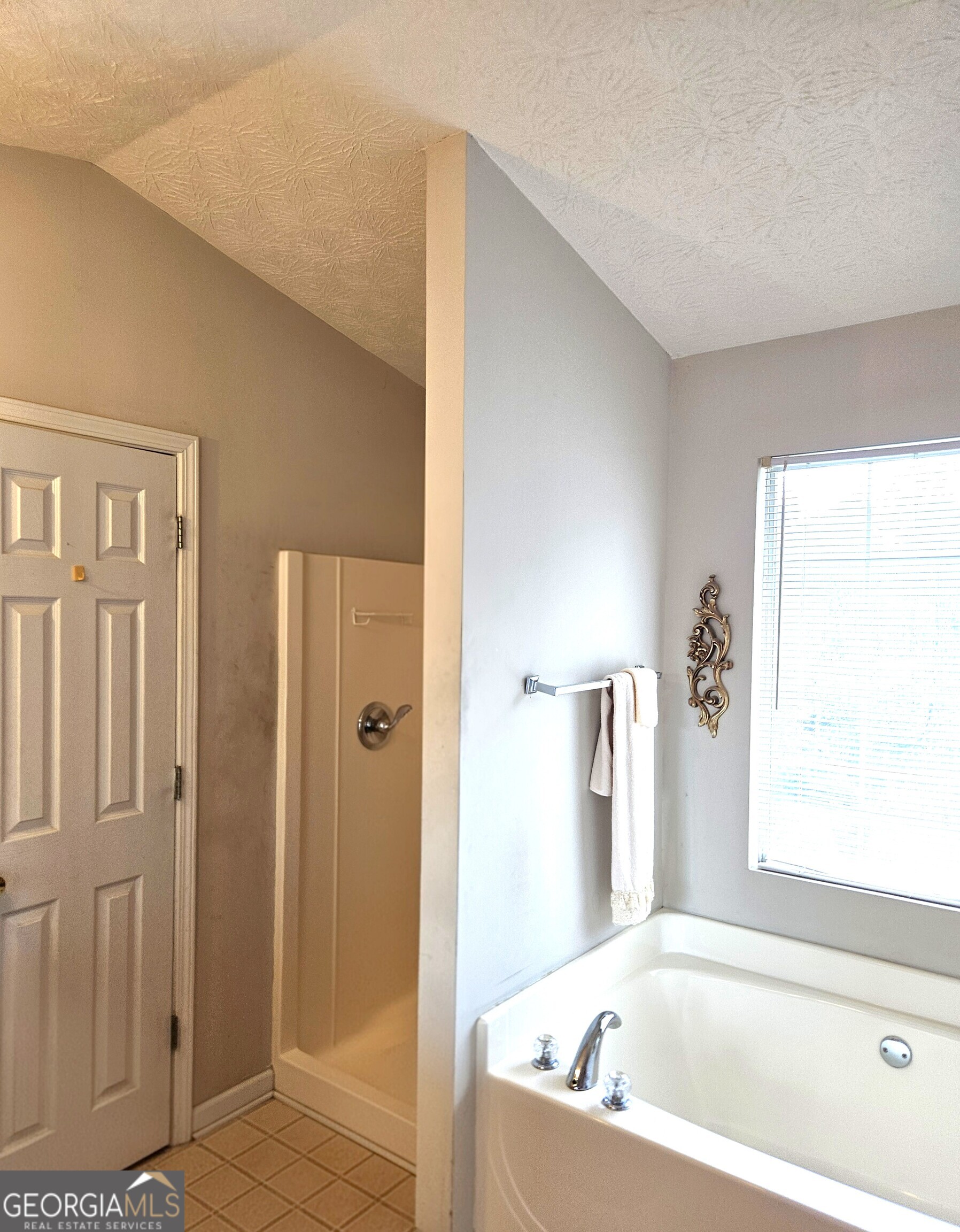 3707 Micah Court Ellenwood GA 30294