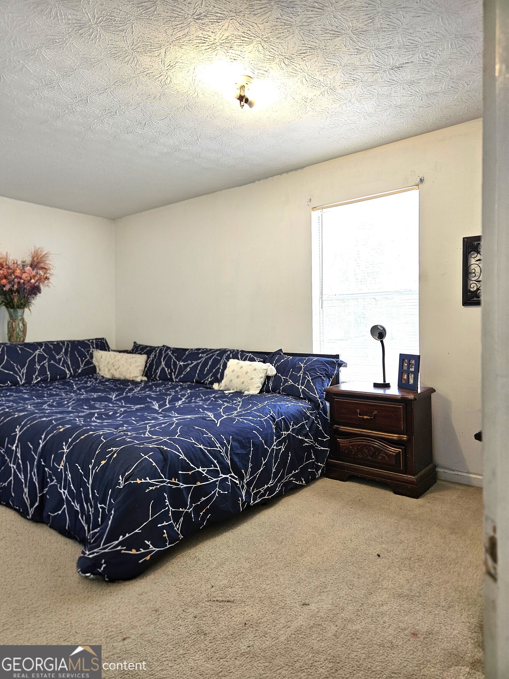 3707 Micah Court Ellenwood GA 30294