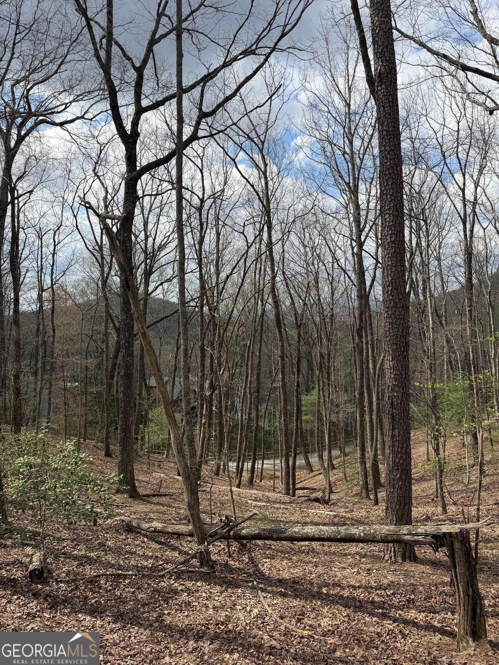 57 Laurel Lane Ellijay GA 30536