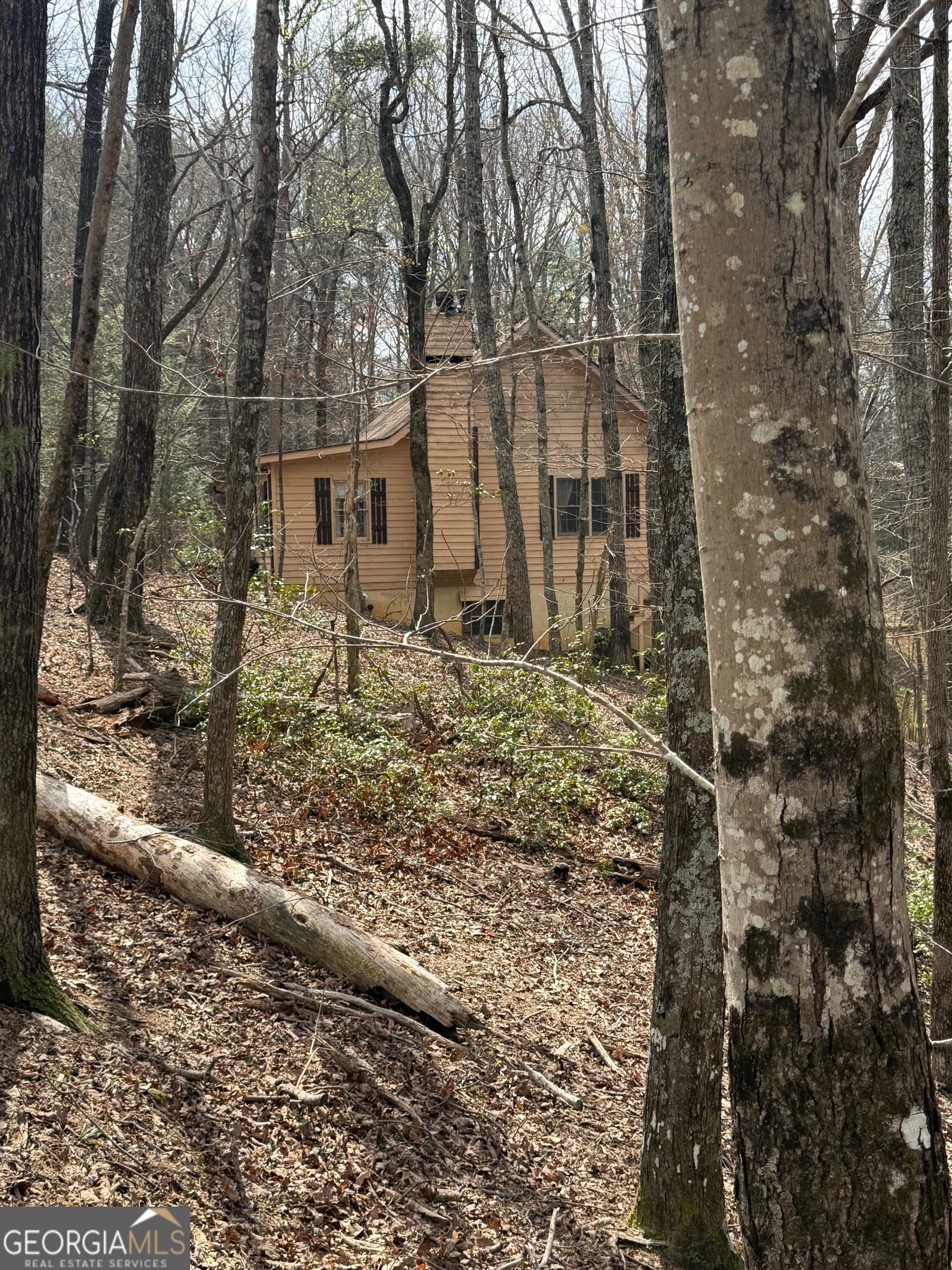 57 Laurel Lane Ellijay GA 30536