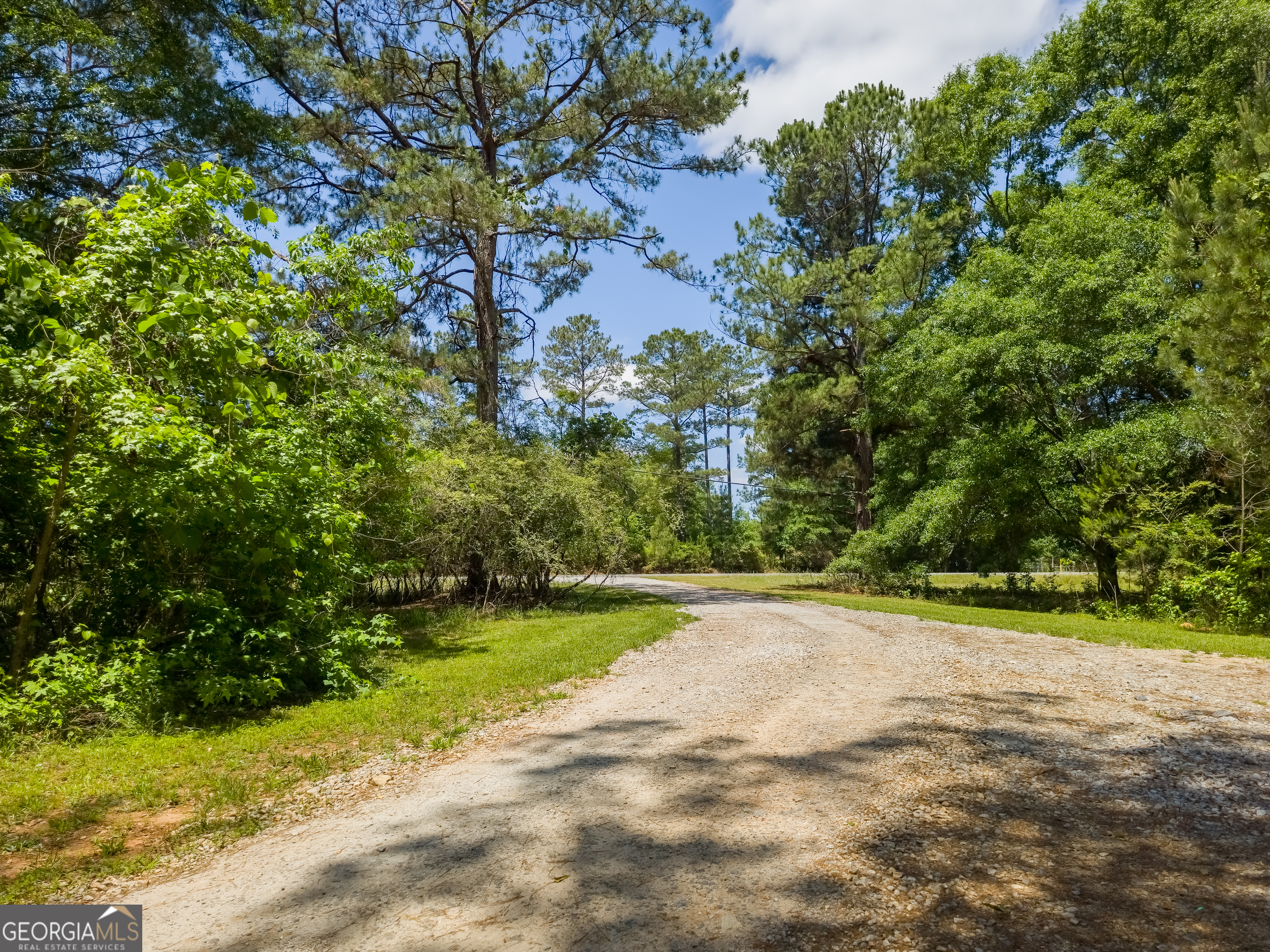 14196 Roosevelt Highway Greenville GA 30222