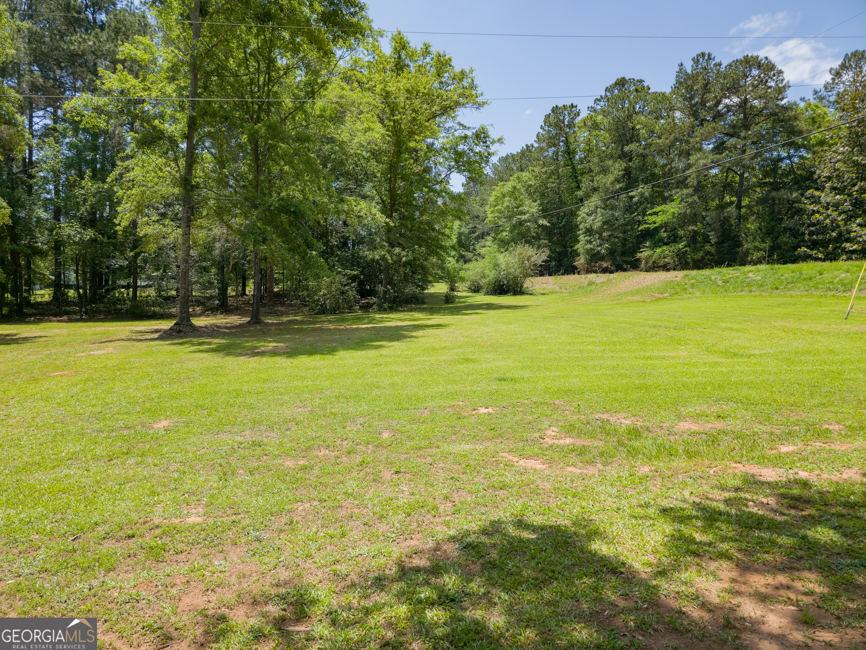 14196 Roosevelt Highway Greenville GA 30222