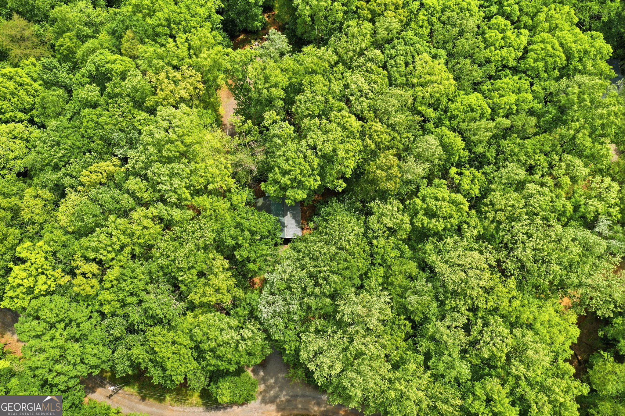 1564 Big Ben Road Ellijay GA 30540
