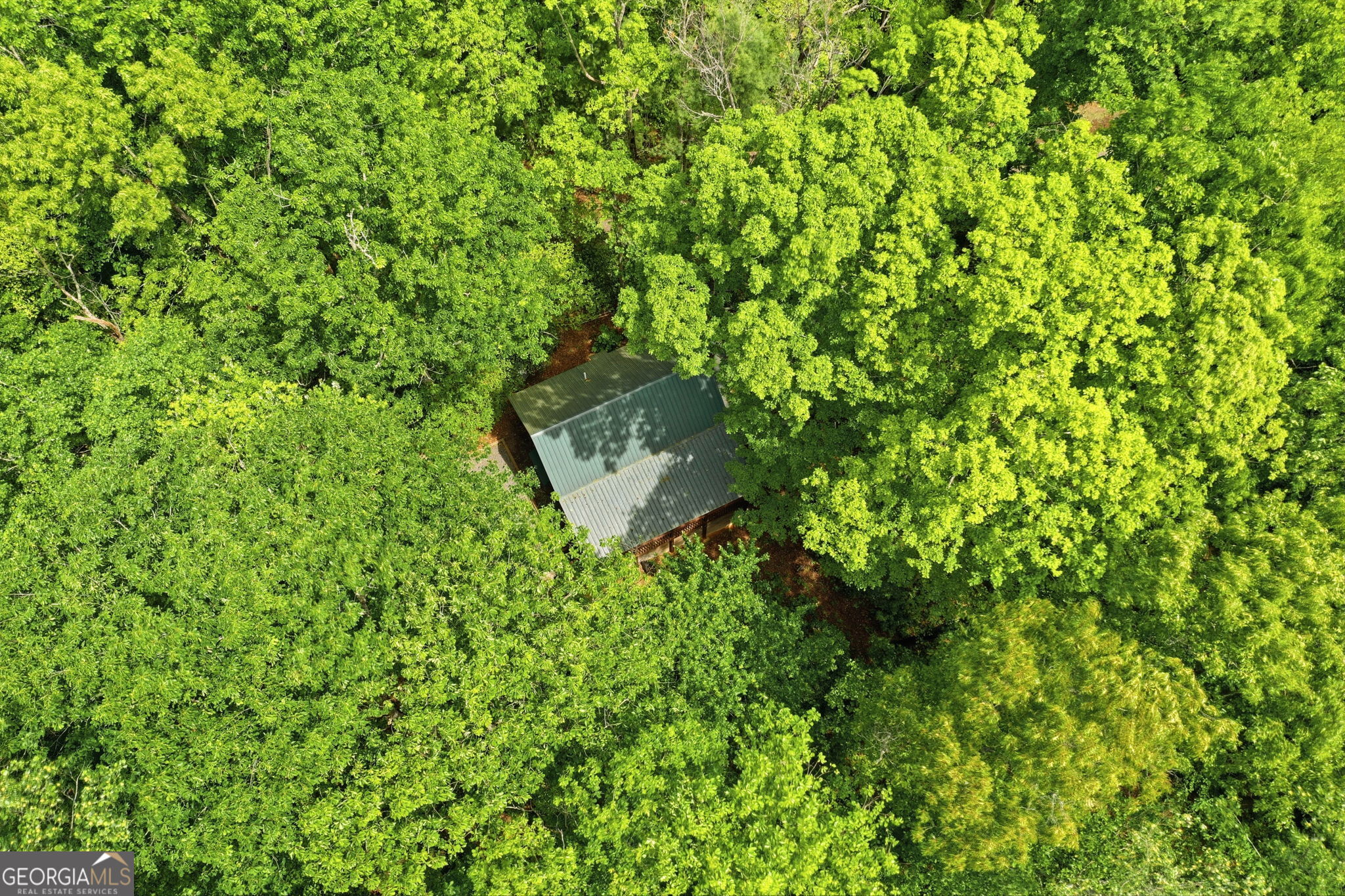 1564 Big Ben Road Ellijay GA 30540
