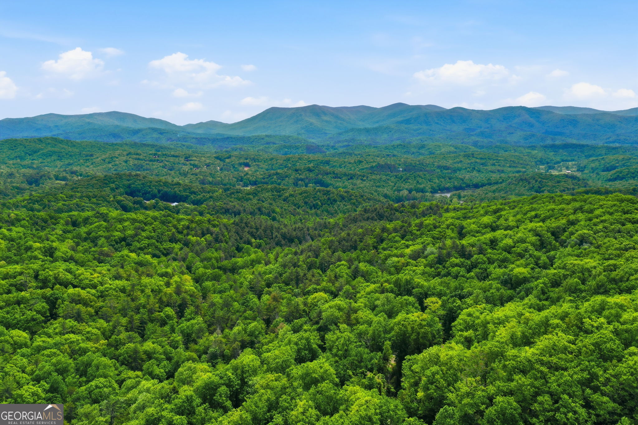 1564 Big Ben Road Ellijay GA 30540