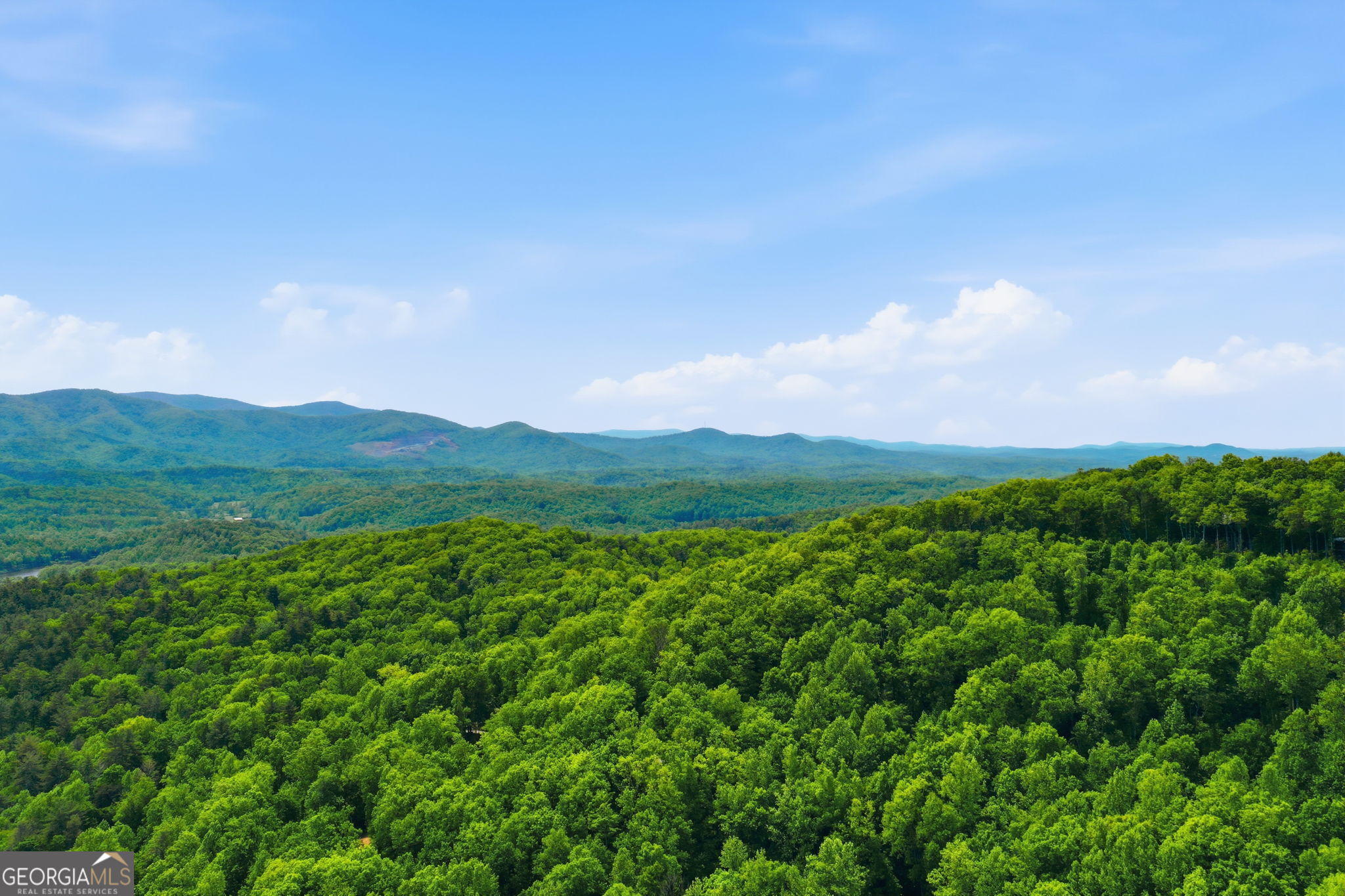 1564 Big Ben Road Ellijay GA 30540