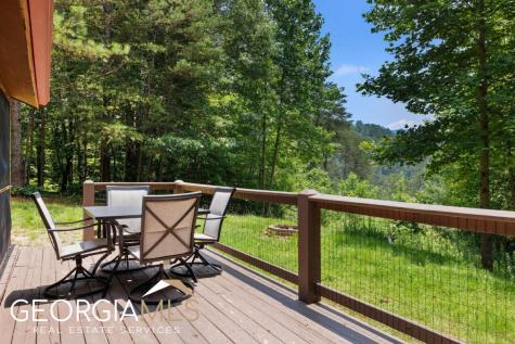 289 Cozy Acres Lane Cherry Log GA 30522