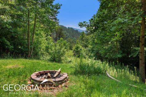 289 Cozy Acres Lane Cherry Log GA 30522