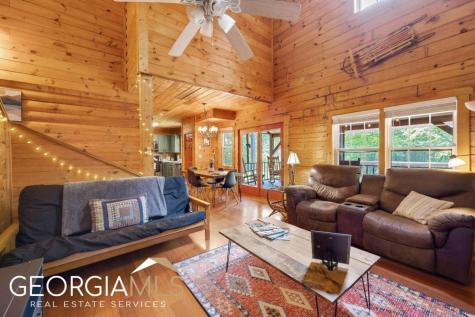 289 Cozy Acres Lane Cherry Log GA 30522