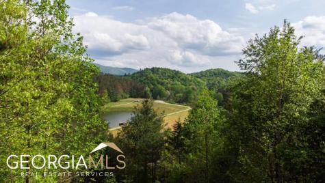 289 Cozy Acres Lane Cherry Log GA 30522