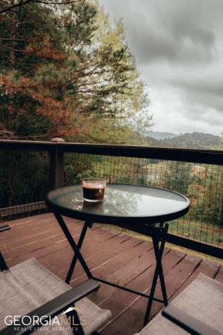 289 Cozy Acres Lane Cherry Log GA 30522