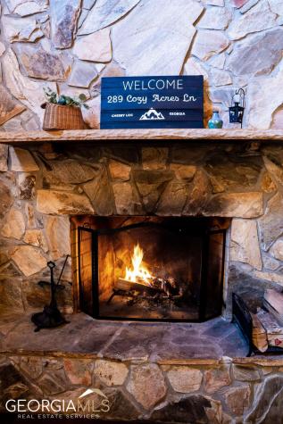 289 Cozy Acres Lane Cherry Log GA 30522