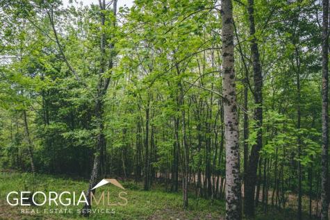 289 Cozy Acres Lane Cherry Log GA 30522