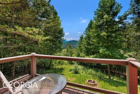 289 Cozy Acres Lane Cherry Log GA 30522