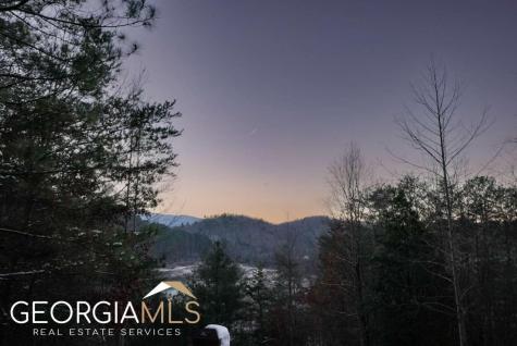 289 Cozy Acres Lane Cherry Log GA 30522