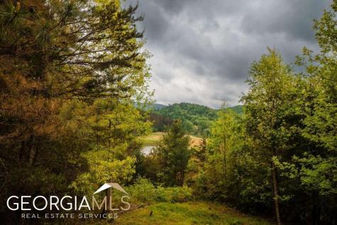 289 Cozy Acres Lane Cherry Log GA 30522
