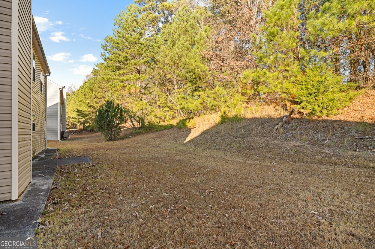 6232 Polar Fox Court Riverdale GA 30296