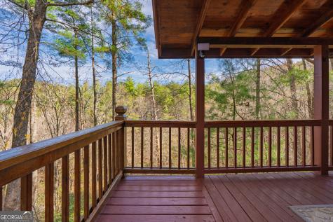 216 Pig Trail Cherry Log GA 30522