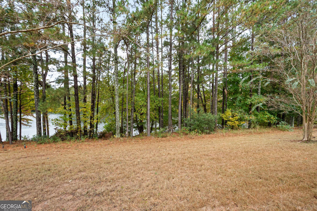 165 Elenor Drive Fayetteville GA 30215