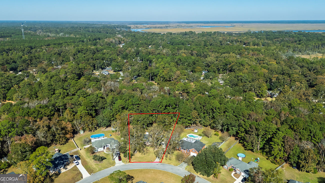 387 Sandhurst Drive Richmond Hill GA 31324