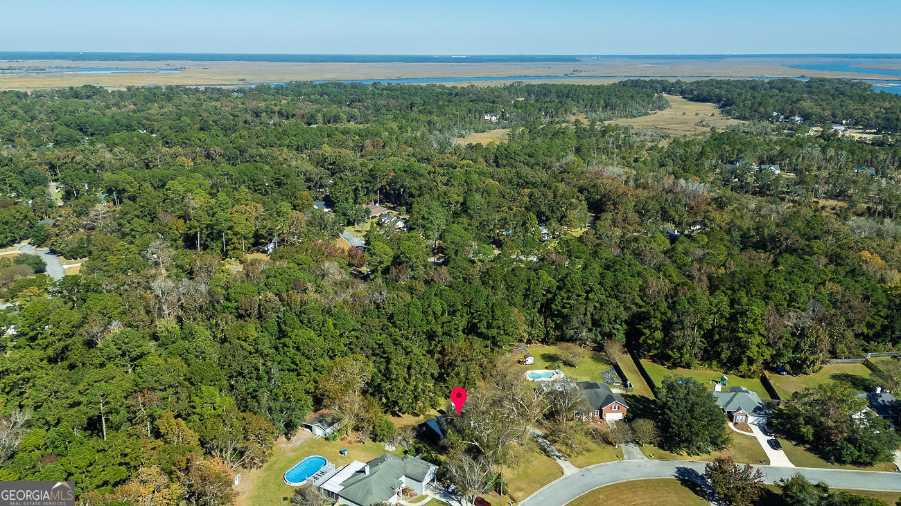 387 Sandhurst Drive Richmond Hill GA 31324