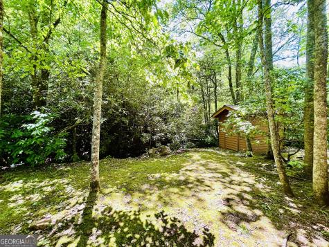 1815 Canoe Creek Drive Hiawassee GA 30546