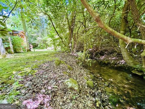 1815 Canoe Creek Drive Hiawassee GA 30546