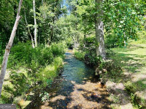 1815 Canoe Creek Drive Hiawassee GA 30546